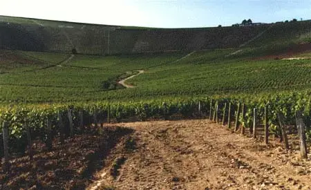 Borne de Recharge 18 Installateur borne de recharge Bué